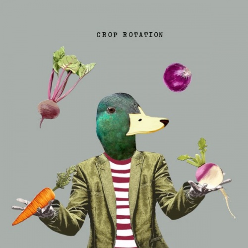 ''Crop Rotation''  Card by Scaffardi